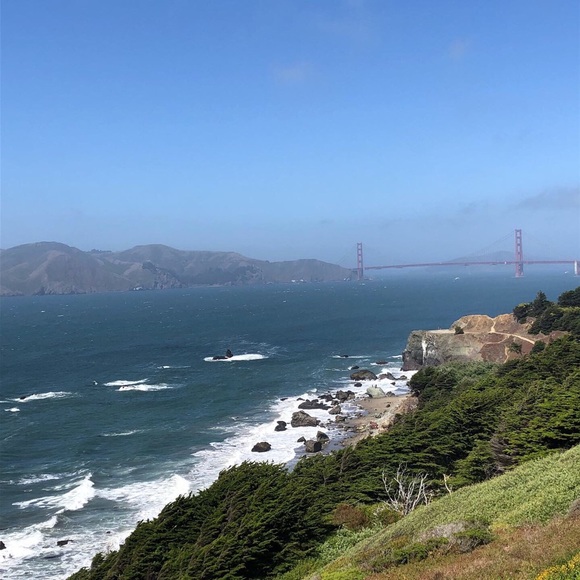 Meet your Posher, Ilene - Picture 1 of 1